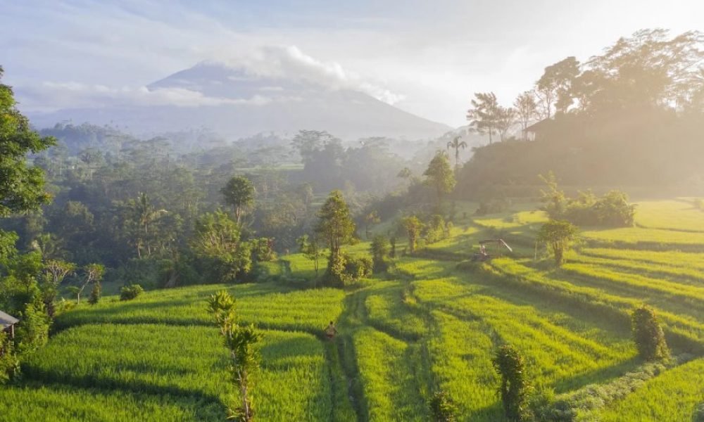 Beautiful place to visit